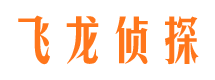 会理市调查公司